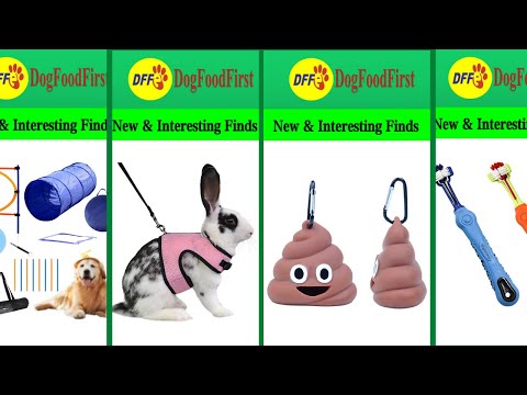 10 Cool Pet Supplies from Amazon Chewy and AliExpress 2021|Amazing Items.Gadgets