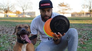 Still the Best Dog Frisbee in the world !?