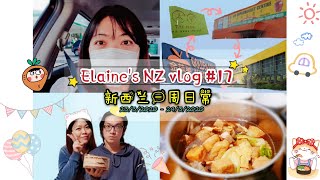 Elaine's NZ 新西兰/紐西兰 vlog #17 | 新西兰封城前几天⚠️ | 封城前连逛奥克兰4家超市🛒 | 男友生日只能乖乖呆在家🎂🎁