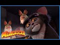 All Hail King Julien | Madagascar