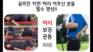 골프만 치면 허리 아프신 분들 필수 영상 (ft.허리보강운동)