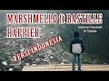 Marshmello ft Bastille - Happier versi Indonesia (Arti lagu+Lirik)