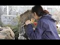 浅虫温泉・源泉公園 飲泉所 0501a