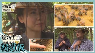 《精選:詹姆士棒的》詹姆士、王輔立與傅昭蓉的蜂園採蜜體驗 蜜蜂習性與蜂蜜、蜂王乳美食讓詹姆士大吃一驚