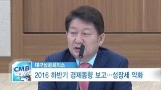 [대구뉴스] 2016 하반기 경제동향 보고 - 성장세 약화