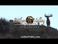 Leithen Valley Hunts NZ Promo