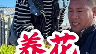 日子平平淡淡，就是我们的幸福记录真实生活 记录我的农村生活 记录生活 农村生活 我的乡村生活