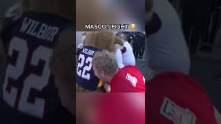These mascots were trading punches 🥊