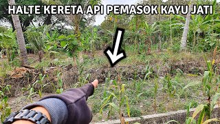 WALAU HANYA HALTE TAPI SANGAT PENTING ! | PENCARIAN HALTE NGOMBAK