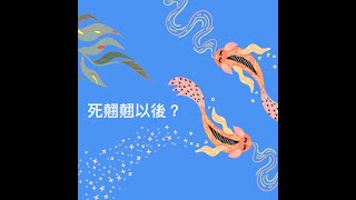 欖仁媽媽說故事 - 原創故事#20 死翹翹以後？