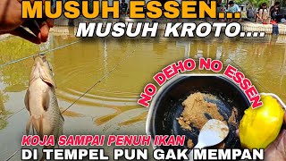 UMPAN PENANGKAL ESSEN ‼️ Ikan Gak Mau Kemana Mana Betah \u0026 Cepat Kumpul || Racikan Umpan Ikan Mas