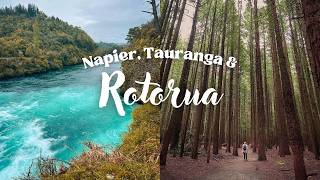 Visiting the Rotorua Redwoods & Experiencing Cyclonic Weather in Napier! ☔| New Zealand Travel Vlog