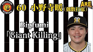 【阪神タイガース】小野寺暖  登場曲(偶数打席) Bigfumi「Giant Killing」