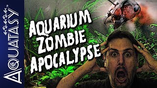 Aquatasy Quick Take - Aquarium Zombie Apocalypse