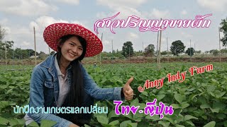 สาว​ปริญญา​ขาย​ผัก​ นักฝึกงาน​เกษตร​แลกเปลี่ยน​ ไทย-ญี่ปุ่น​ น้องแอน มัทนา มรกต โทร.0923934479