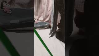 イタタタ…💥暴走ニャン子🐈ぶつかる💨💨💨🌠🌠 #猫動画 #かわいい #猫 #cat #癒し #shorts #cute #猫の日常　#猫のいる生活 #猫好き #おもしろ動画 #japanesecat