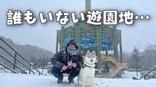 【大雪】貸切状態の遊園地でハスキー犬とはしゃいできたwww