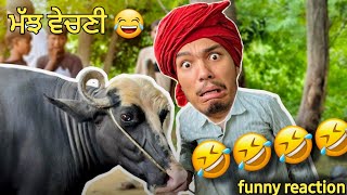 ਮੱਝ ਵੇਚਣੀ 😂 ?XMAJH VECHNI || FULL COMEDY || jugtan || ਜੁਗਤਾ | candy studio 2024 | candysaab|react