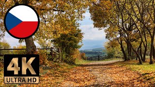 【4K 60fps】Autumn walk 🍂🍁 - walk tour through the Czech countryside