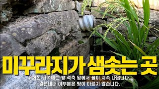 자연산 미꾸라지를 사용한 추어탕의 모든과정을 보여드립니다.