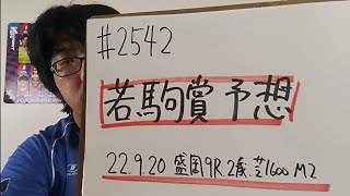 【地方競馬予想】若駒賞 M2(9月20日盛岡9R 2歳)予想