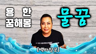 꿈해몽! 물꿈이 궁금하다? 과연 좋은 꿈일까? 나쁜 꿈일까? [서대문구 점집 백마장군]