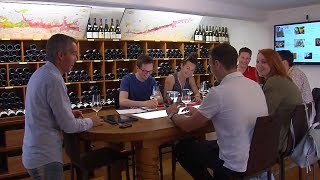 Cours oenologie à Beaune en Bourgogne - Sensation Vin