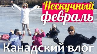 ВЛОГ Как мы живем? Нескучный февраль, любовь, скорпионы, утки, горячий шоколад || Зима в Канаде