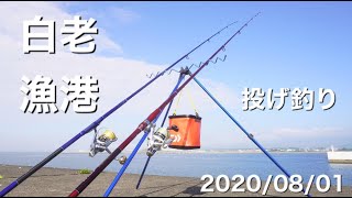 北海道　白老 漁港　投げ 釣り　令和2年8月