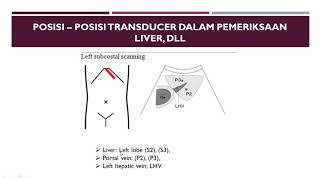 Teknik Ultrasonografi, USG Liver, Hepar, Hati