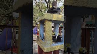 பஞ்ச லிங்க தரிசனம்... #siddharboomitiruvannamalai #lingam #annamalaiyartemple #shorts