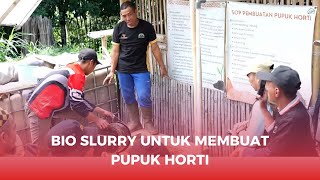 pupuk untuk tanaman berbuah