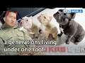 3 generations living under one roof 🏡 [Dogs are incredible : EP.151-1] | KBS WORLD TV 221213