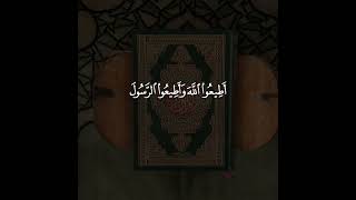 Surah Muhammad - Ayah 33 | Quran Template for Editing | Beautiful Quran Recitation #shorts