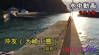 釣り人目線の水中動画　大崎下島沖友　9月