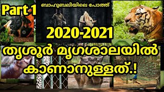 Thrissur Zoo \u0026 Museum | 2020-21 ഇൽ തൃശ്ശൂർ മൃഗശാലയിൽ കാണാനുള്ളത് | Part 01