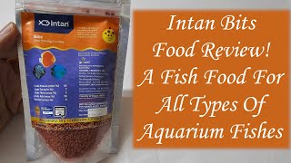 Best Fish Food for Vibrant Fish🐟|Intan Bits Fish Food Review|Fish Food Suitable To All Types Of Fish