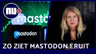 Toot! Is Mastodon hét alternatief voor Twitter? Zo ziet het het platform eruit | NU.nl