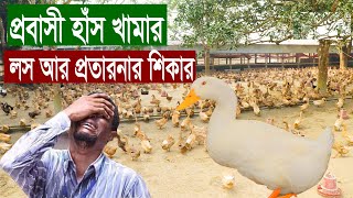 লস লস | প্রবাসী আবদ্ধ হাঁস খামার করে লসের মুখে পরেছে | ভিডিওটি দেখা খুবই জরুরী | খামার | কৃষি ফার্ম