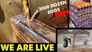 TRACTOR CHALLENGE | CALVING CAMERA FITTED | A LOT OF EGGS #CRAWFORDFARMS #147