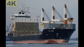 BBC REEF - Shipspotting Germany 🇩🇪 Weser near City Brake Unterweser - 4K VIDEO