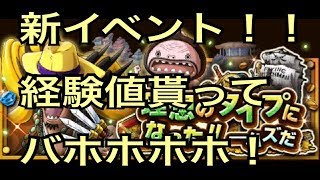 【トレクル】新イベントは経験値を稼ぎましょ！！