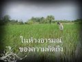 อุ่นรักจากแม่ บทเพลงรักแม่ชาวนา by อะหนึ่ง