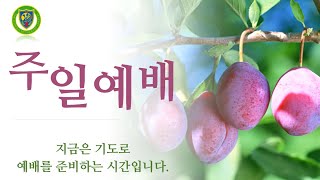 20240811 개운교회 주일 2부 예배(성령강림 후 제12주)