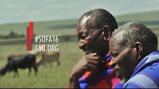 SOFA 2016 - Cambio climático, agricultura y seguridad alimentaria