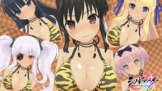 [閃乱カグラ]虎の衣装でコミュニケーション 国立半蔵学院(Tiger print bikini)[senrankaguraNewLink]