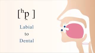 [ ʰp̪ ] unvoiced labial pre-aspirated stop