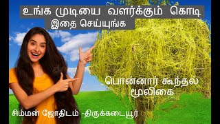 முடியை  வளர்க்கும்  கொடி-கொத்தான்-ஆயுர்வேத மூலிகை- சிம்மன் ஜோதிடம் திருக்கடையூர்