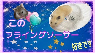 【ハムスター/hamster】買ったほうがいいフライングソーサー？☆【回し車】