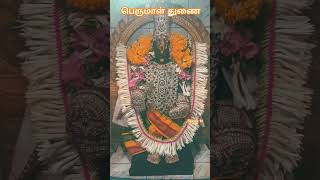 சீனிவாச பெருமாள் நம #trending #viral #perumal #tirupati